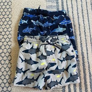 Shark boardshorts